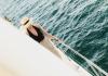 Prestige 590 Flybridge 2022  Flybridge-Yacht