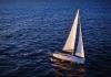 Sun Odyssey 389 2019  Britische Jungferninseln