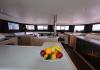 Dufour 48 Catamaran 2022  Cecina