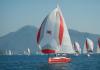 Salona 41 2013