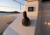 Fountaine Pajot MY6 2024  2024 Jacht