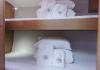 Dufour 530 2020  Segeln