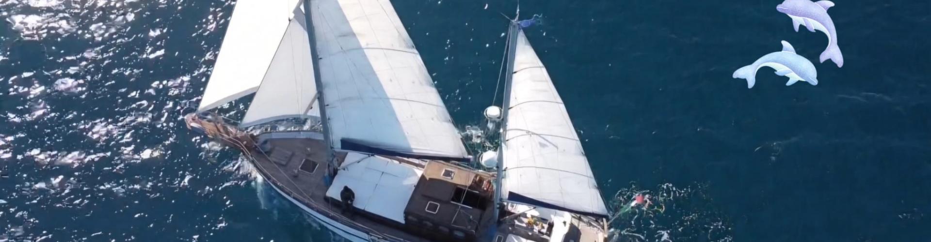- Segelyacht