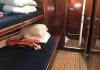 Beneteau 50 1998  charter Segelyacht Spanien
