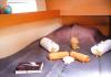Sun Odyssey 490 2022  yachtcharter Athens