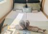 Lagoon 51 2024  yachtcharter