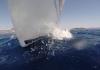Michael Svoldgaard  Sun Odyssey 45.2 Segelboot