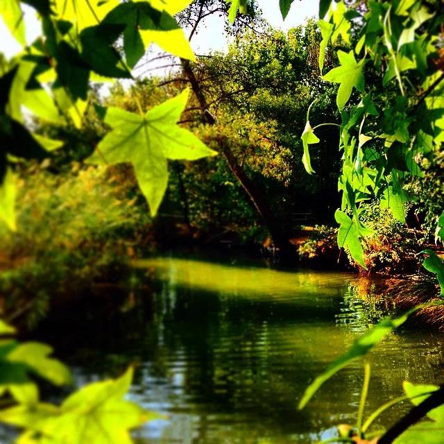 Nationalpark Marmaris
